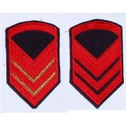 Gradi (paio) per uniforme ordinaria invernale da graduati e militari di truppa dell'Aeronautica militare